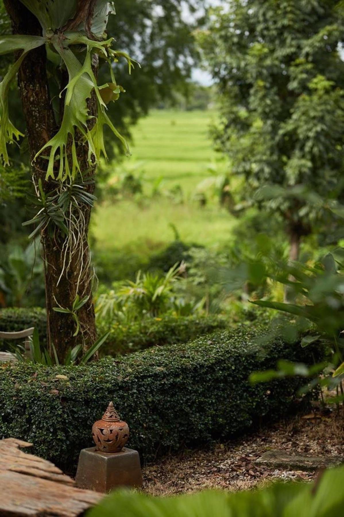 Bambuh Boutique Homestay (Adults Only) Chiang Rai Exterior foto